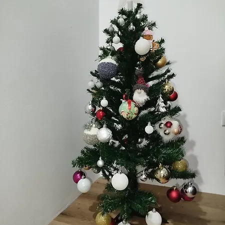 Paradise House Дом отдыха *